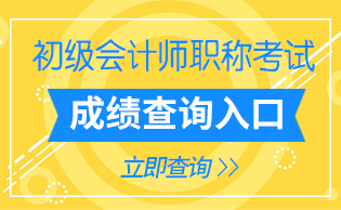 初级会计师职称考试成绩查询