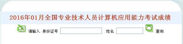 2016年1月广东广州职称计算机成绩查询入口